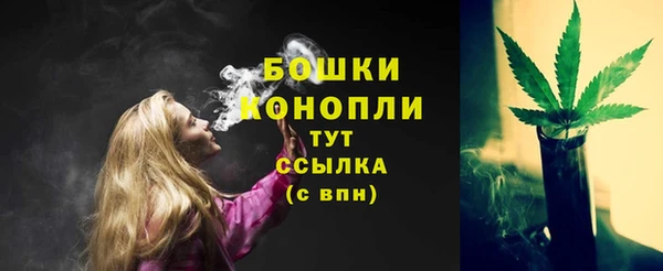 шишки Красноперекопск