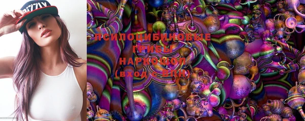 первитин Краснослободск