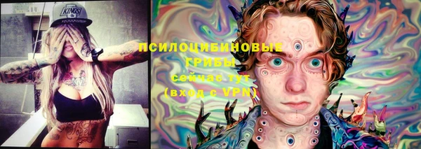 первитин Краснослободск