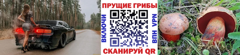 Купить закладки  Барабинск  Псилоцибиновые грибы мицелий 